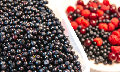  Fresh blueberries in a bowl. summer berries