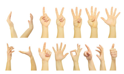 Fototapeta premium hands isolated on a white background
