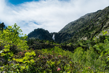 Obraz premium Landscape with waterfall in the mountains in summer at Parc Natural del Comapedrosa, Arinsal, Andorra