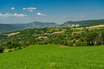 Passo del Penice: mountain landscape