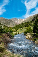 Mountain river landscape in pyrenees, powerful stream of mountain river running down the valley in summer Andorra