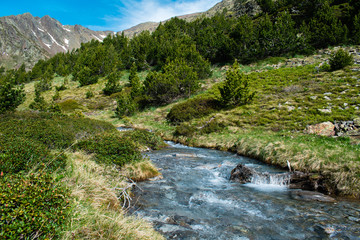 Mountain river landscape in pyrenees, powerful stream of mountain river running down the valley in summer Andorra