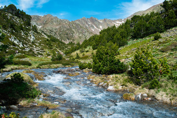 Naklejka na ściany i meble Mountain river landscape in pyrenees, powerful stream of mountain river running down the valley in summer Andorra