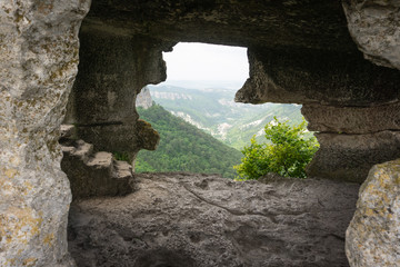 ancient city overgrown and lost in the wild