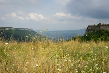 dry field grass on a plateau among Crimean canyons