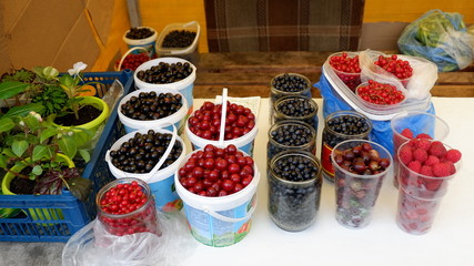 spices in the market