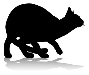 A silhouette cat pet animal detailed graphic