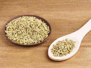 Fennel seeds (Foeniculum vulgare) in a clay plate with spoon on a wooden background