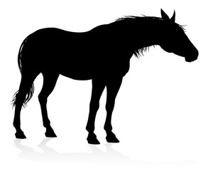 A high quality very detailed horse in silhouette
