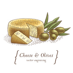 Head of cheese with triangle piece of cheese and olives with olive branch. Hand drawn engraving...