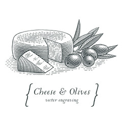 Head of cheese with triangle piece of cheese and olives with olive branch. Hand drawn engraving style illustrations.  - obrazy, fototapety, plakaty