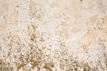 Muralla, antigua, vieja, con musgo, blanco, marron, gris, fondo, textura, encalado.