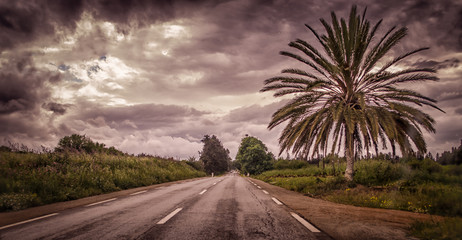 Fototapeta premium road