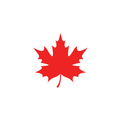 Maple leaf logo template vector icon illustration