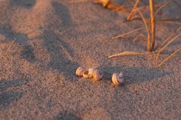 Sommer, Sonne, Urlaub