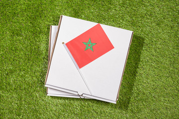 Paper box of pizza with iranian Morocco on the grass. Concept. Top view