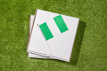 Paper box of pizza with Nigeria Flag on the grass. Concept. Top view