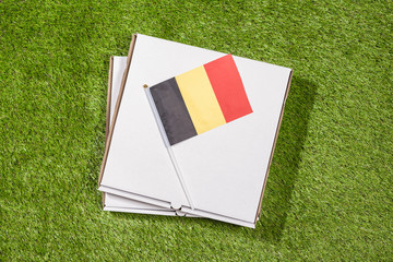 Paper box of pizza with Belgian  Flag on the grass. Concept. Top view