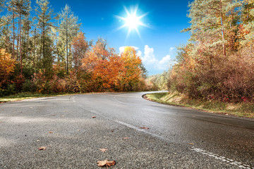 Road view on sunny day. Journey in autumn time.