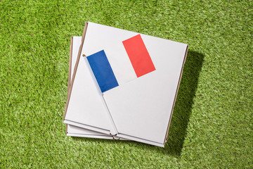 Paper box of pizza with France Flag on the grass. Concept. Top view