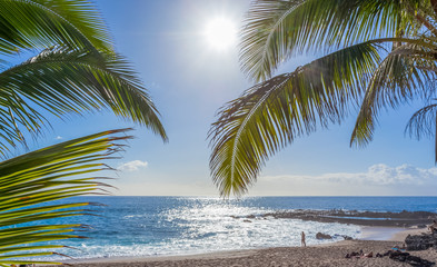 palm trees on the beach of Boucan Canot, Réunion Island 