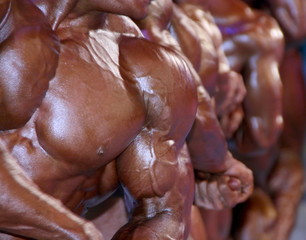 group of muscular male chests