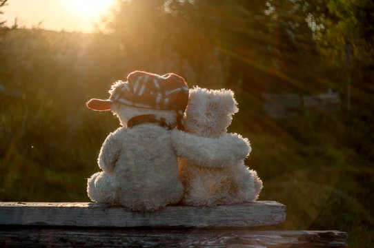 Two teddy bears, hugging, admire the sunset. On one bear is a red hat.