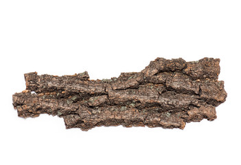 Bark or Crust of dry old Tree isolated on white Background - Top View, Tree Bark 