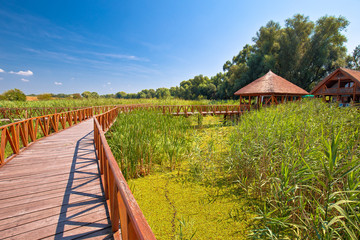 Kopacki Rit marshes nature park wooden boardwalk view