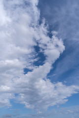 Towering cumulonimbus clouds accompanied by smaller cumulus clouds