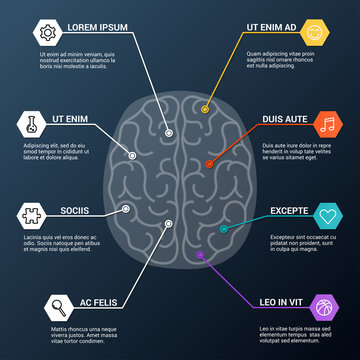Human brain lobes, anatomy structure, infographic. Functions of the mind, intelligence, logic, memory, behaviour, learning, emotions. Psychology concept