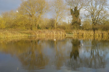 Fototapeta na wymiar Alongside the River Avon Warwick Warwickshire England UK