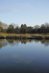 Alongside the River Avon Warwick Warwickshire England UK