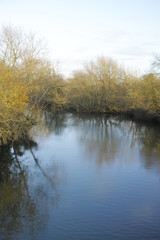 Fototapeta na wymiar Alongside the River Avon Warwick Warwickshire England UK
