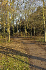 Obraz premium Alongside the River Avon Warwick Warwickshire England UK