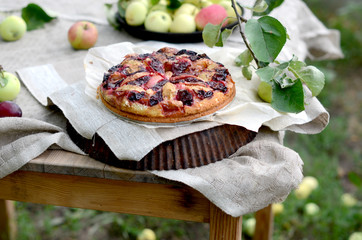 Cake with plums and apples on a wooden table in the garden
