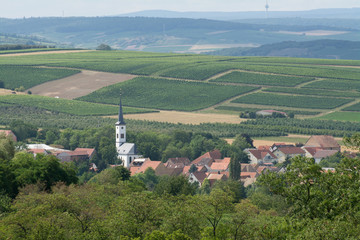rheinhessische sommerlandschaft