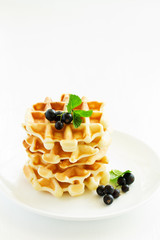 Homemade waffles with a sprig of currants. White background.