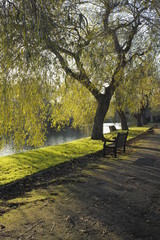 Alongside the River Avon Warwick Warwickshire England UK