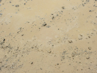 wet ground texture