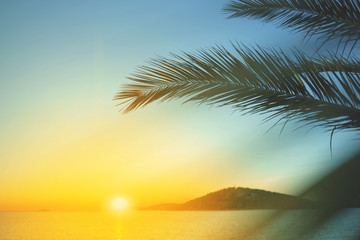 Fototapeta na wymiar Palm leaves against sunset.