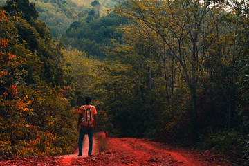 A young adventurer with a backpack standing and looking scenery landscape  .concept of living and adventure on a single holiday in the jungle, forest in Thailand, Phang Nga, Koh Yao Yai.