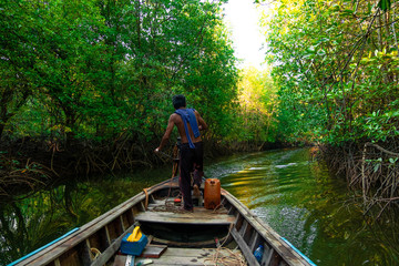 Fototapeta na wymiar long tail boat of fisherman travel in mangrove forest in morning,Thailand,Phang Nga,Koh Yao Yai