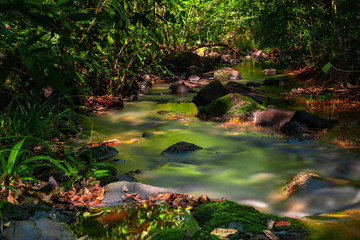 Smooth of water stream in Rainforest of Thaland,Phang nga,Koh Yao Yai