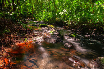 Smooth of water stream in Rainforest of Thaland,Phang nga,Koh Yao Yai