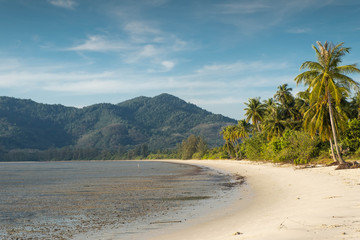 Beautiful scenery of coconut trees on the white beach in the morning and the scenery of the mountains in the back,Koh Yao Yai,Phang Nga,Thailand