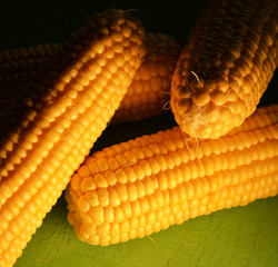 organic and fresh corns on green background