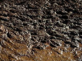 wet mud texture