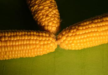organic and fresh corns on green background