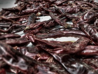 dried fish in market